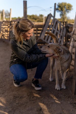 González Riollo presentó un proyecto de Ley de Bienestar Animal