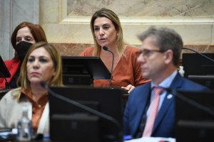 ¿Dónde está Guadalupe? le preguntó la senadora González Riollo al Jefe de Gabinete