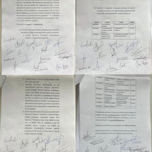 Acta del Consejo Directivo: Convocatoria a elecciones internas partidarias 2024