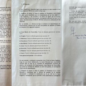 Acta junta electoral - Llamado a elecciones partidarias internas 2024 