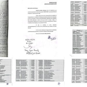 Actas de presentación de listas 2024