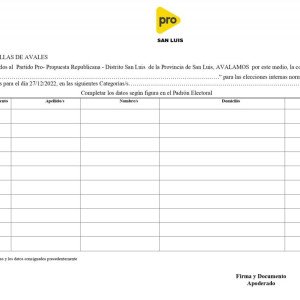 Formulario avales- elecciones Internas 27/12/2022